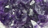 Purple Amethyst Cluster - Uruguay #66796-2